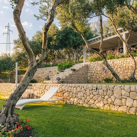 Villa Tamaris *