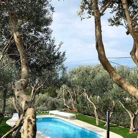 Tamaris Makarska