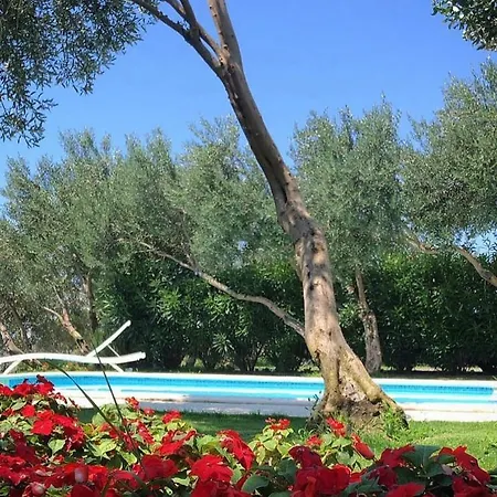 Villa Tamaris *